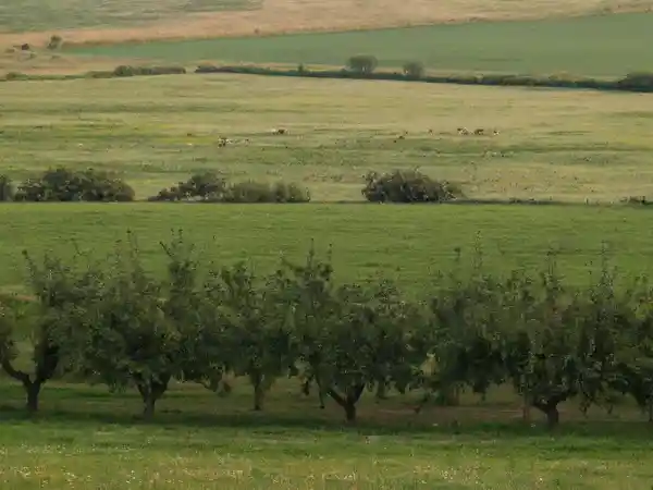 Земли сельхозназначения: новые правила с 1 марта 2026 года