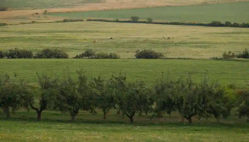 Земли сельхозназначения: новые правила с 1 марта 2026 года